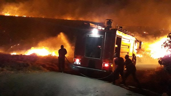 Adıyaman'daki yangında 350 dönüm arazi zarar gördü