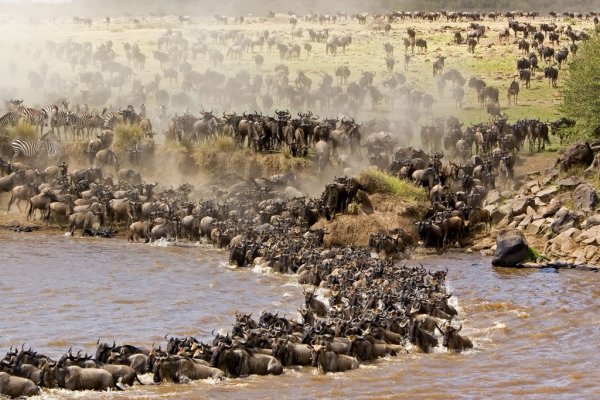 Afrika ’da safari için en çılgın rotalar