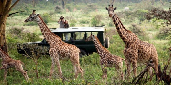 Afrika ’da safari için en çılgın rotalar