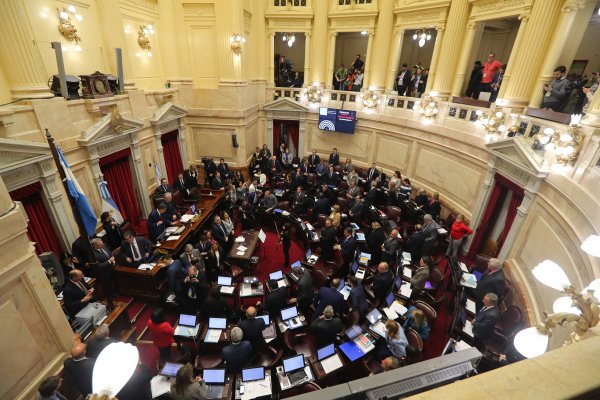Arjantin'de Senato kürtaj yasasını reddetti