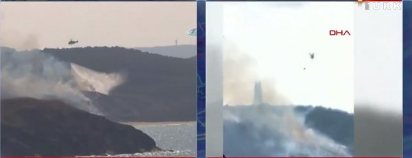 Beykoz Riva'da deniz kenarında orman yangını