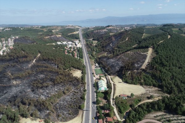 Bursa'daki orman yangını havadan görüntülendi