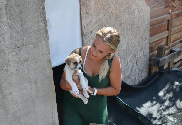 İşkence edilen yavru köpeği kurtardı