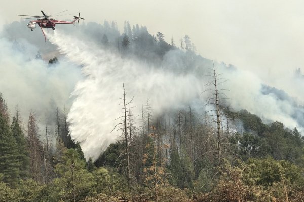Kaliforniya'daki yangın Ulusal Parkı kapattırdı