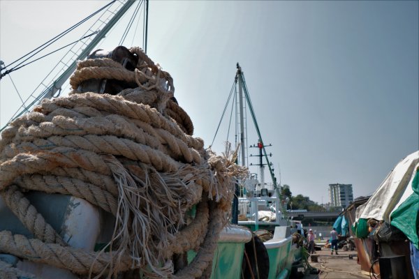 Karadenizli balıkçılar gün sayıyor