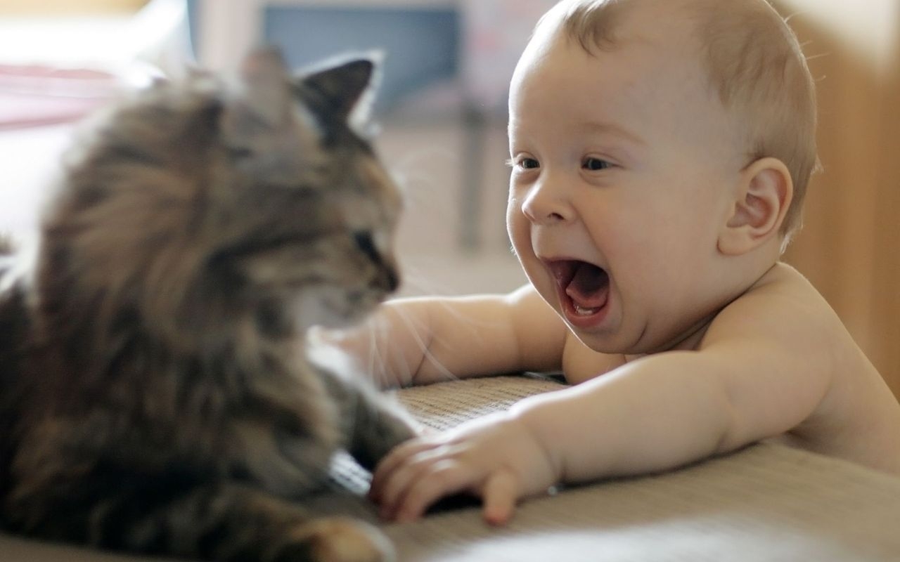 kedi ve bebek