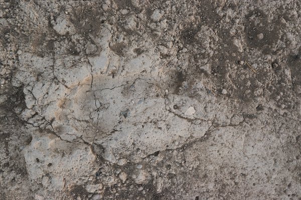 Van'daki kazılarda Urartular'ın ayak izine rastlandı