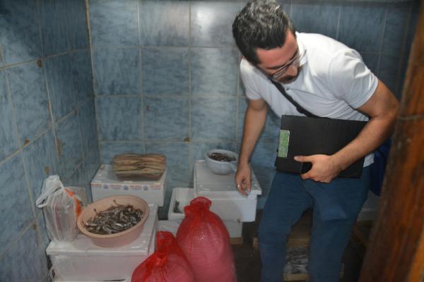 Zonguldak'ta 21 ton palamuda el konuldu