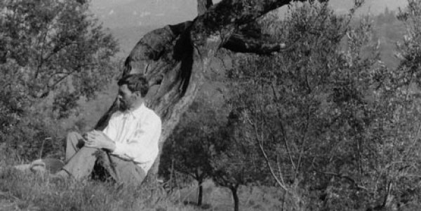 D. H. Lawrence'den duygularımızı açıklayan 13 özel alıntı