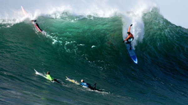 Kaliforniya’nın resmi devlet sporu: Sörf