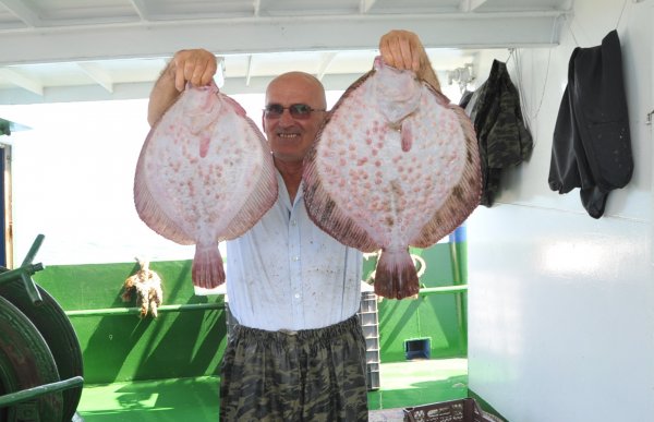 Karadeniz ’de balık bereketi