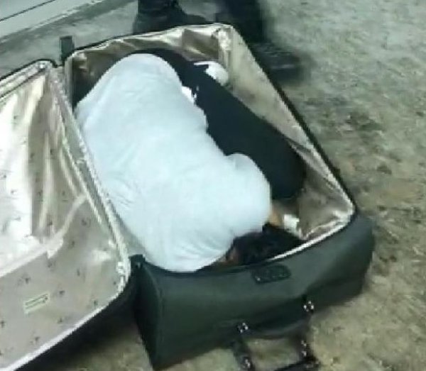 Valizin içinde Türkiye'ye girmeye çalışan kadın yakalandı
