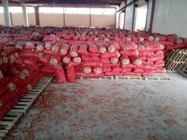 Ankara'da depodan stoklanmış bin 300 ton kuru soğan çıktı