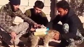 deas-in-korkunc-taktigi