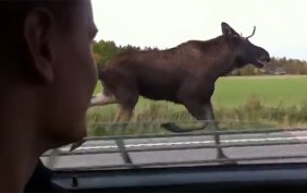 arac-kullanirken-karsilasilmis-asiri-ilginc-10-durum