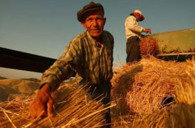 ciftcilere-destek-odemesi-basliyor