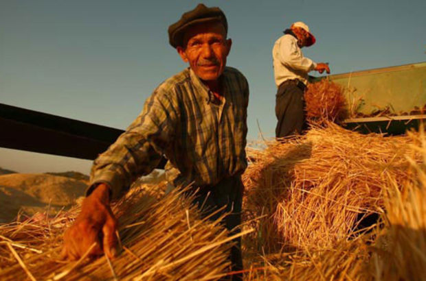 Çiftçilere destek ödemesi başlıyor