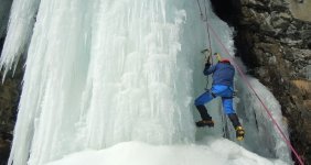 donmus-selaleye-tirmandilar