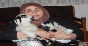 yavru-kuzulari-evinde-besliyor