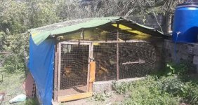 50-bin-dolarlik-kumes