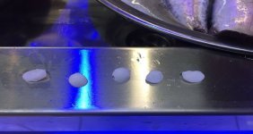 eskina-baliginin-kafasindan-cikan-taslarin-bobrek-tasina-iyi-geldigine-inaniliyor