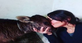 kadife-nin-olumu-genc-kadini-sarsti