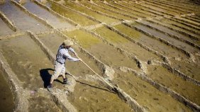 tehlike-kapida-hizla-tukeniyor