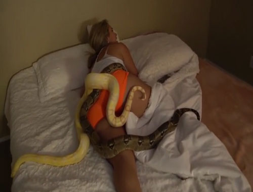 Uyuyan arkadaşının üzerine yılanları bıraktı!