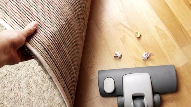 Halınızı kaldırın! Altında binlerce…