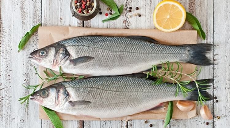 Kilo vermenin en kolay hali