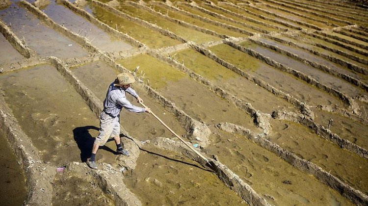 Tehlike kapıda! Hızla tükeniyor