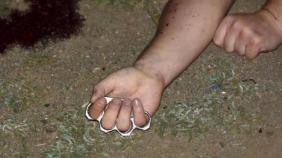 kizina-kotu-davranan-damadini-oldurdu