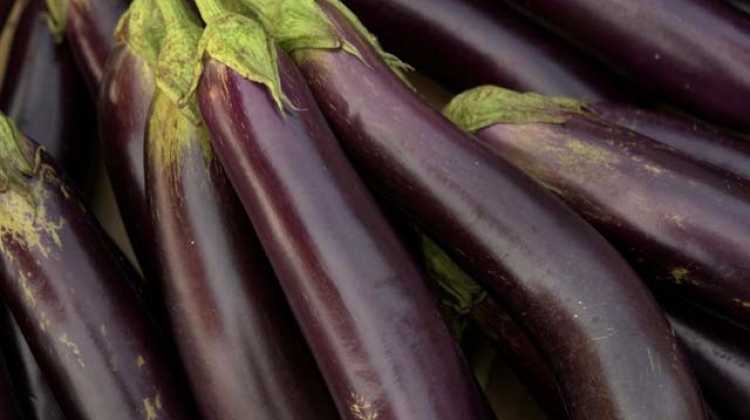 patlican-alirken-buna-cok-dikkat-edin