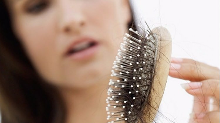 Saçkırandan korkmayın