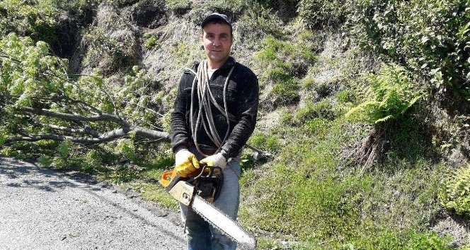 Ekmek onun için aslanın midesinde değil ağaçların tepesinde