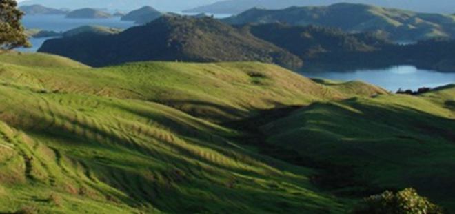 Maliye Bakanlığından 2B ve tarım arazileri için uyarı