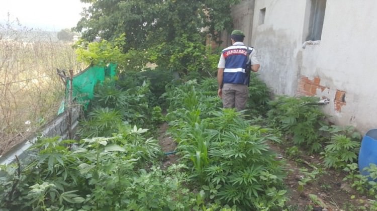 İzmir’de uyuşturucu operasyonu: 5 gözaltı