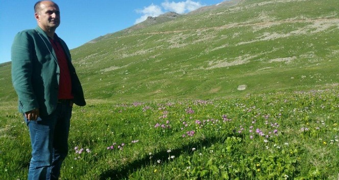 dunyaca-unlu-anzer-bali-uretimine-hava-darbesi