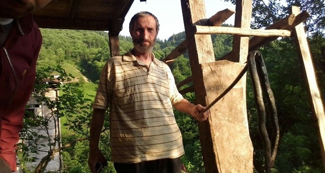 Rize’de yaklaşık iki metre uzunluğundaki yılan ölü bulundu