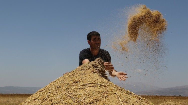 ilk-kez-o-denedi-tek-seferde-400-bin-tl-kazanacak