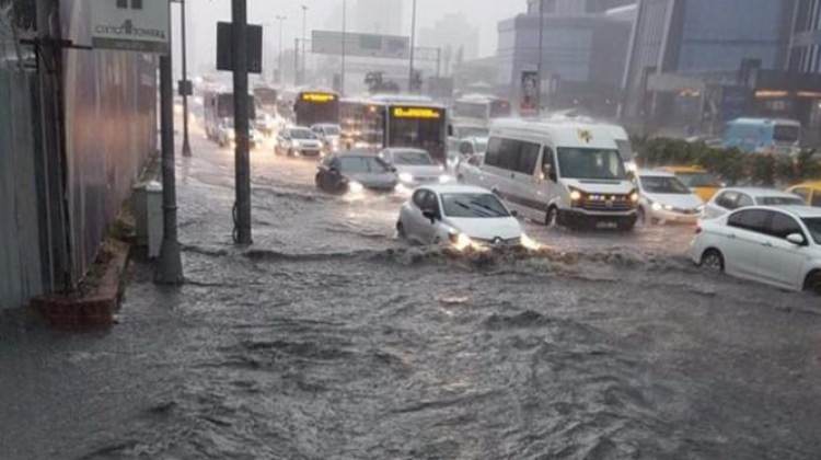 Sular çekildi sigorta komedisi başladı
