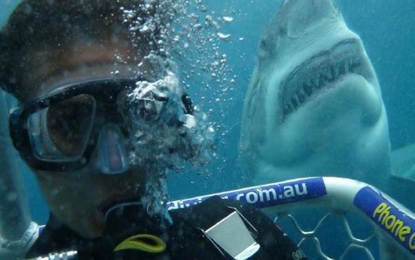 acik-deniz-kafes-dalisi-filmi-fragmani-sinemalarda-bu-hafta