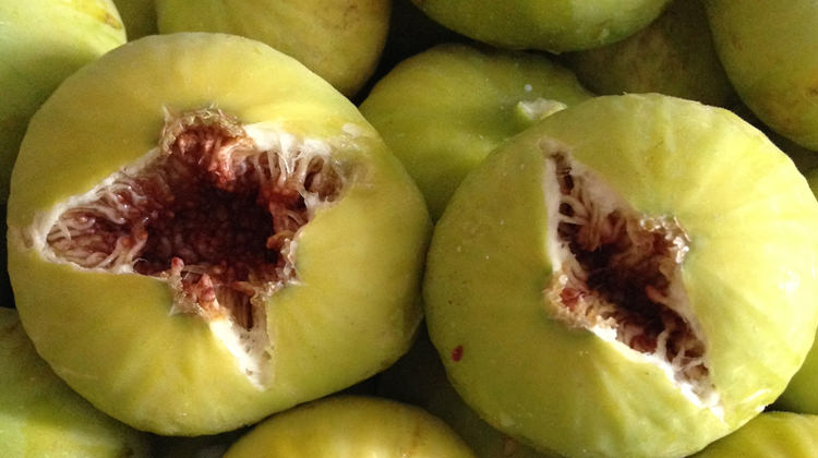 Beyaz İncir neye iyi gelir? Beyaz İncirin bilinmeyen faydaları