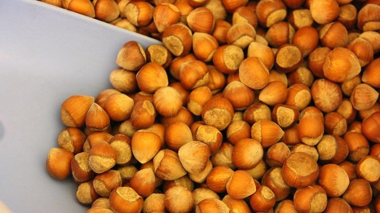 findik-ureticilerine-mujdeli-haber