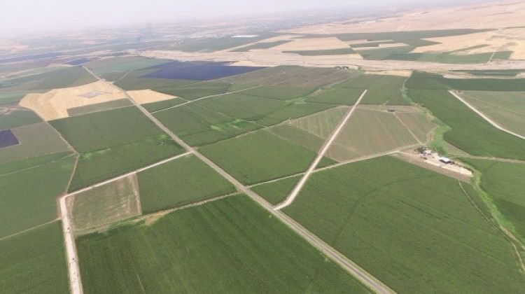 tarim-arazilerine-yakin-takip