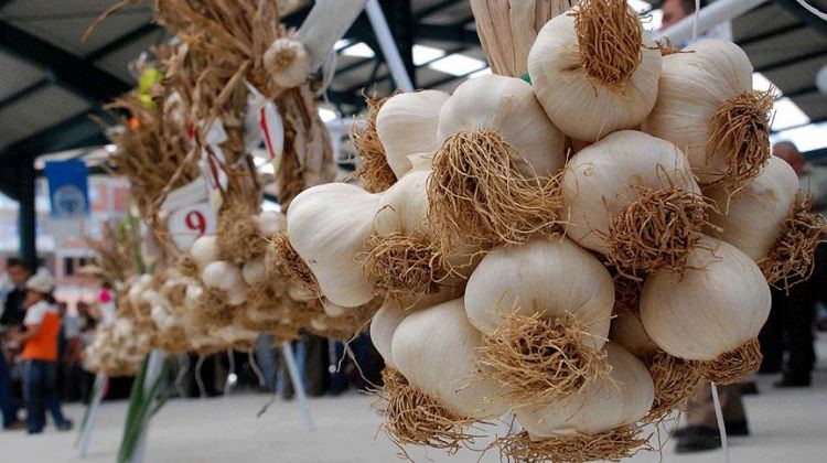 taskopru-sarimsaginda-ihracat-beklentisi