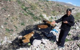 yurek-sizlatan-goruntu-zifte-saplanip-telef-oldular