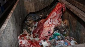 cop-konteynerinde-at-basi-bulundu