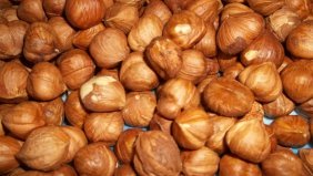 Çakıldak fındık üreticisinin yüzünü güldürüyor