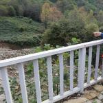 kopru-yola-uymayinca